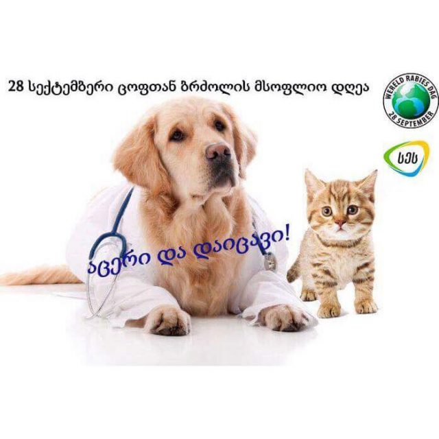 В Тбилиси собакам и кошкам сделают бесплатные прививки от бешенства