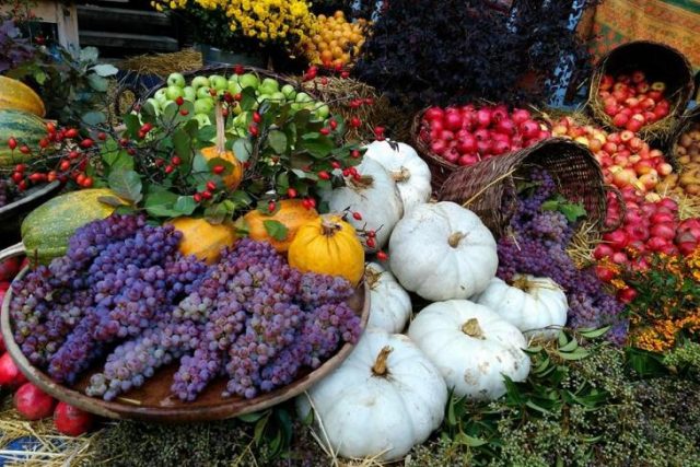Мэрия Тбилиси определила места для проведения уличной торговли на «Тбилисоба»