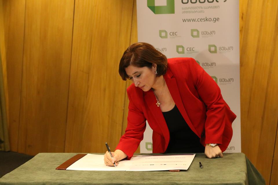 В Грузии Кодекс поведения к президентским выборам подписали 28 наблюдательных организаций