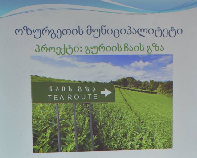 В Грузии запускают новый туристический проект "Чайный путь Гурии"