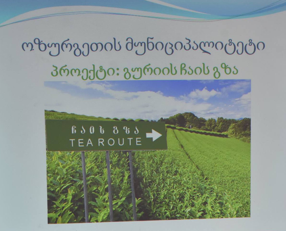 В Грузии запускают новый туристический проект "Чайный путь Гурии"