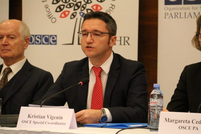 Кристиан Вигенин: нарушения на выборах в Грузии не повлияли на результат голосования