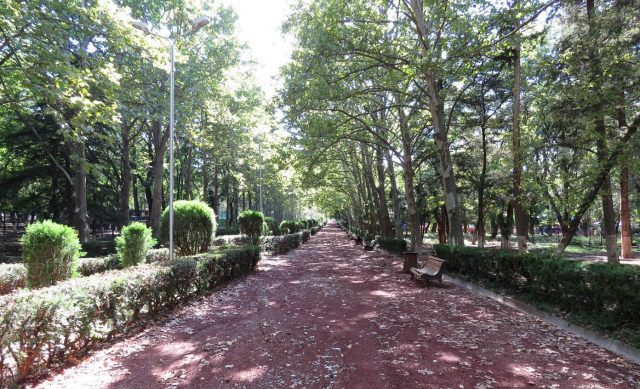 Мэрия Тбилиси не смогла достичь соглашения в связи строительством гостиницы «Будапешт» на территории парка Ваке