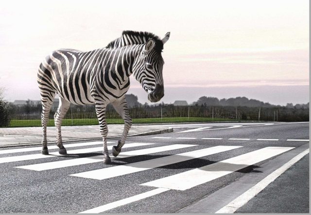 В Тбилиси появятся новые "зебры-переходы"