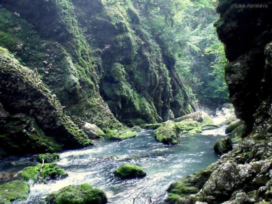 Правительство разрабатывает план действий охраны окружающей среды и здравоохранения Грузии