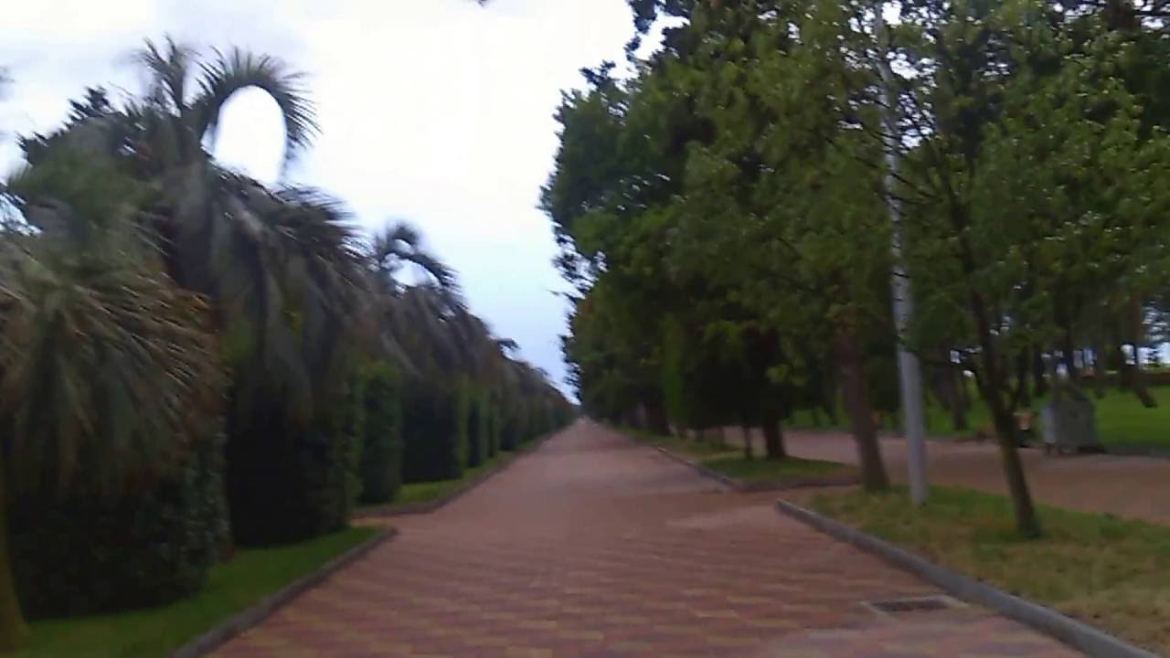 В Батуми старый бульвар очистят от закусочных