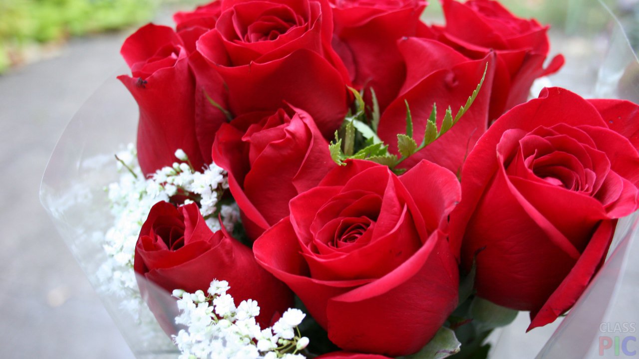 8 марта Международный женский день