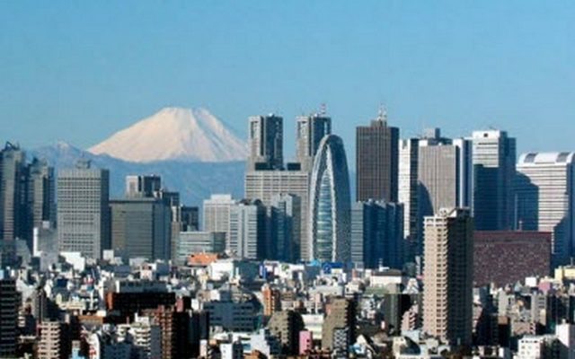 Япония осуществит в Грузии три гранатовых проекта