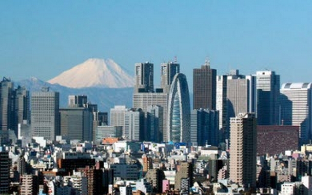 Япония осуществит в Грузии три гранатовых проекта