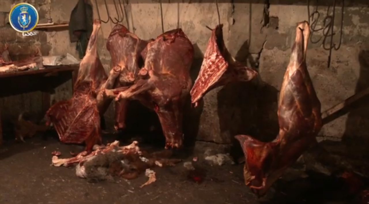 В Тбилиси продовали конину и ослятину выдавая ее за говядину