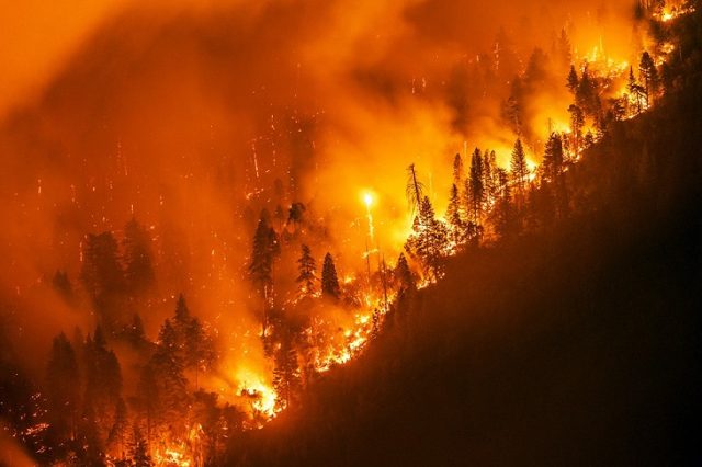 В Гурии горит лес