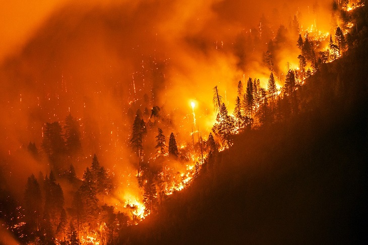 В Гурии горит лес