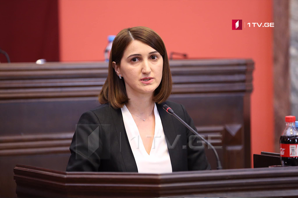 Парламент Грузии избрал Государственного инспектора