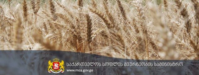 Создаются новые ведомства для развития сельского хозяйства Грузии