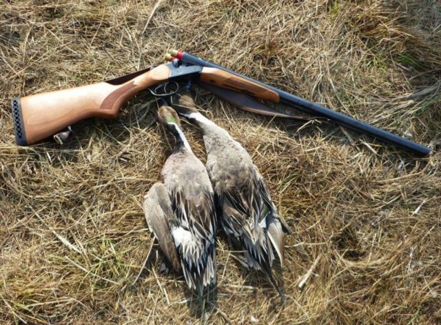 В Грузии ужесточили контроль за правилами охоты