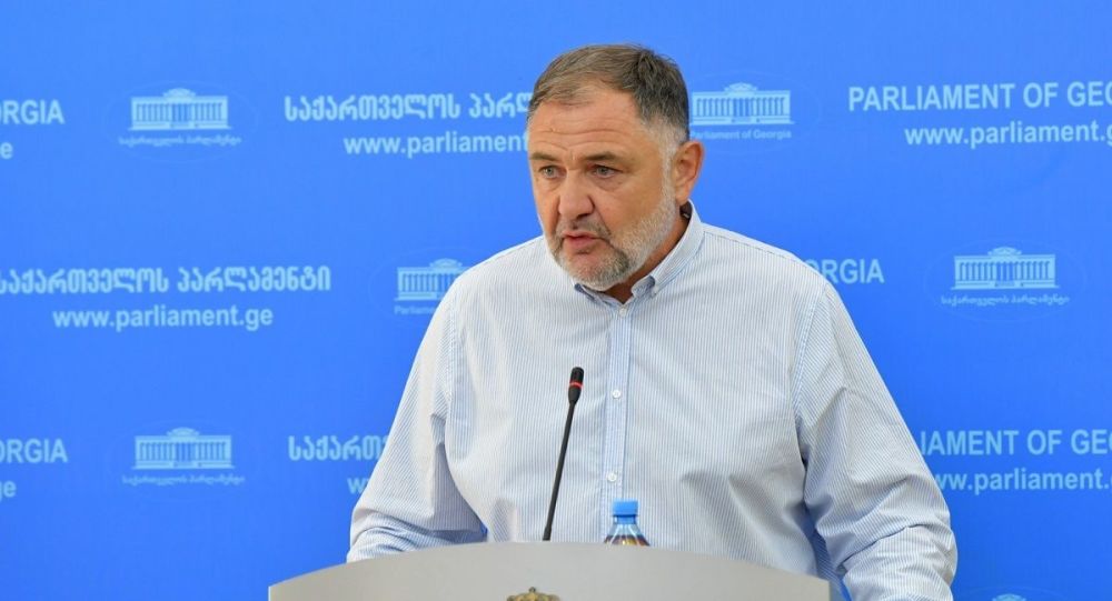 Бидзина Гегидзеи сключен из парламентского большинства