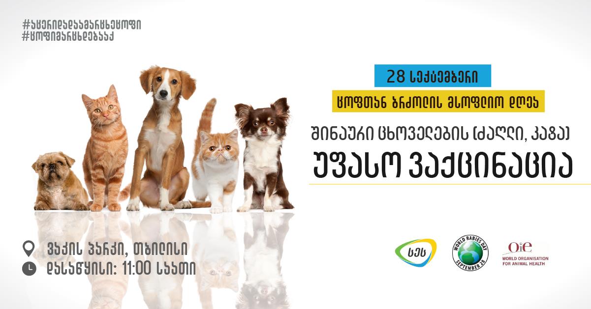По всей Грузии 28 сентября пройдет акция бесплатной вакцинации животных