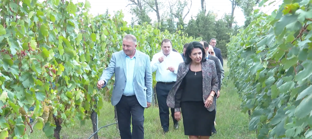 В ООН Зурабишвили расскажет о грузинском винограде