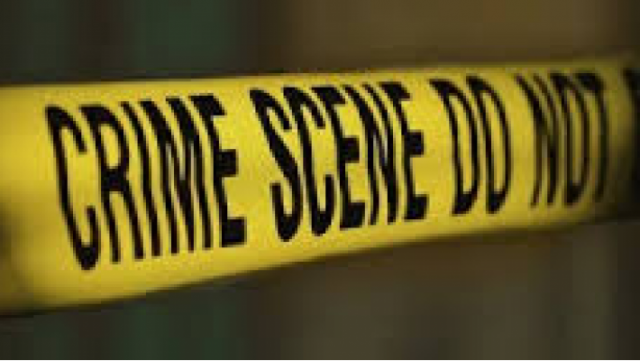 МВД Грузии - статистика преступлений