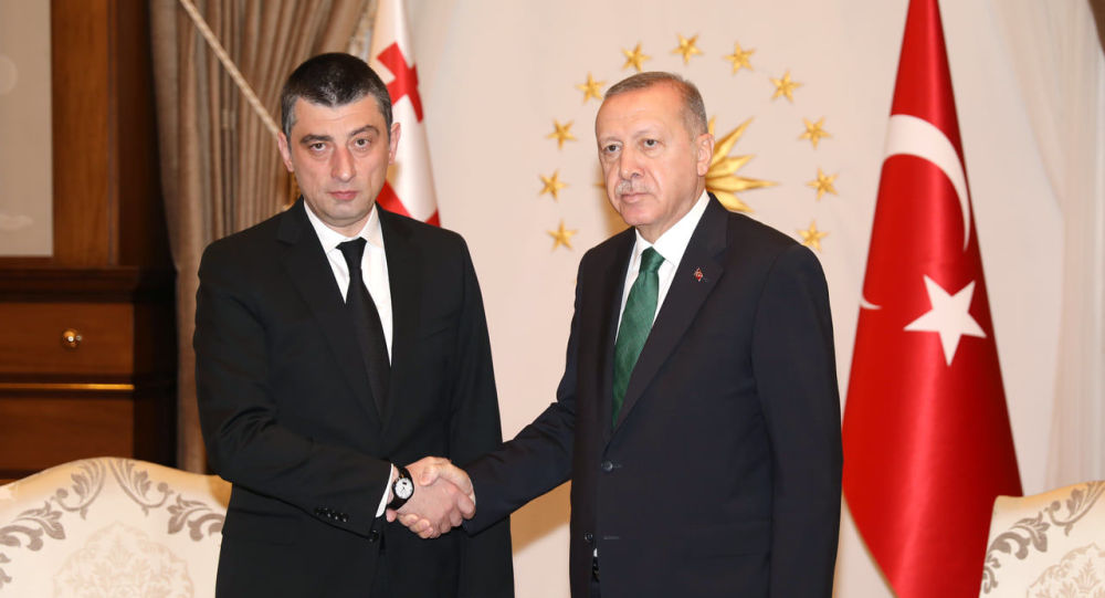 Премьер-министр Грузии встретился с президентом Турции