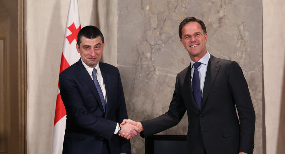 Визит премьер-министра Грузии в королевство Нидерланды