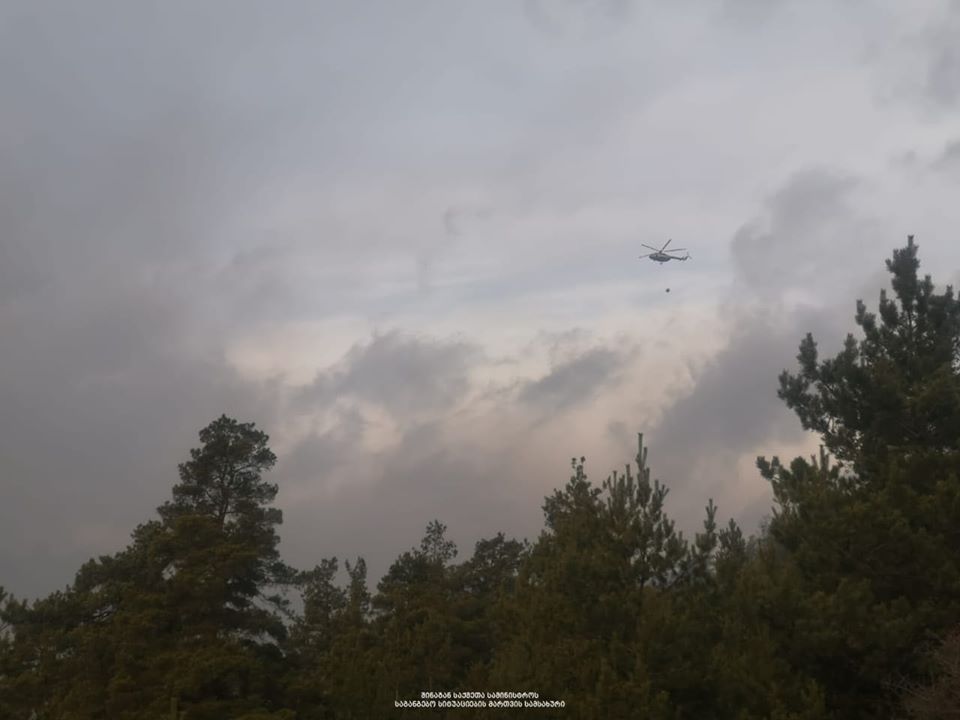 В Грузии загорелись леса