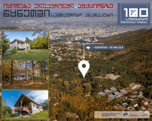 Правительственные дачи в Цхнети за $19 млн для сноса и строительства отеля