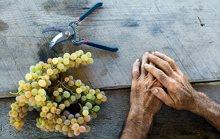 В Грузии сельских безработных будут считать по новой методике