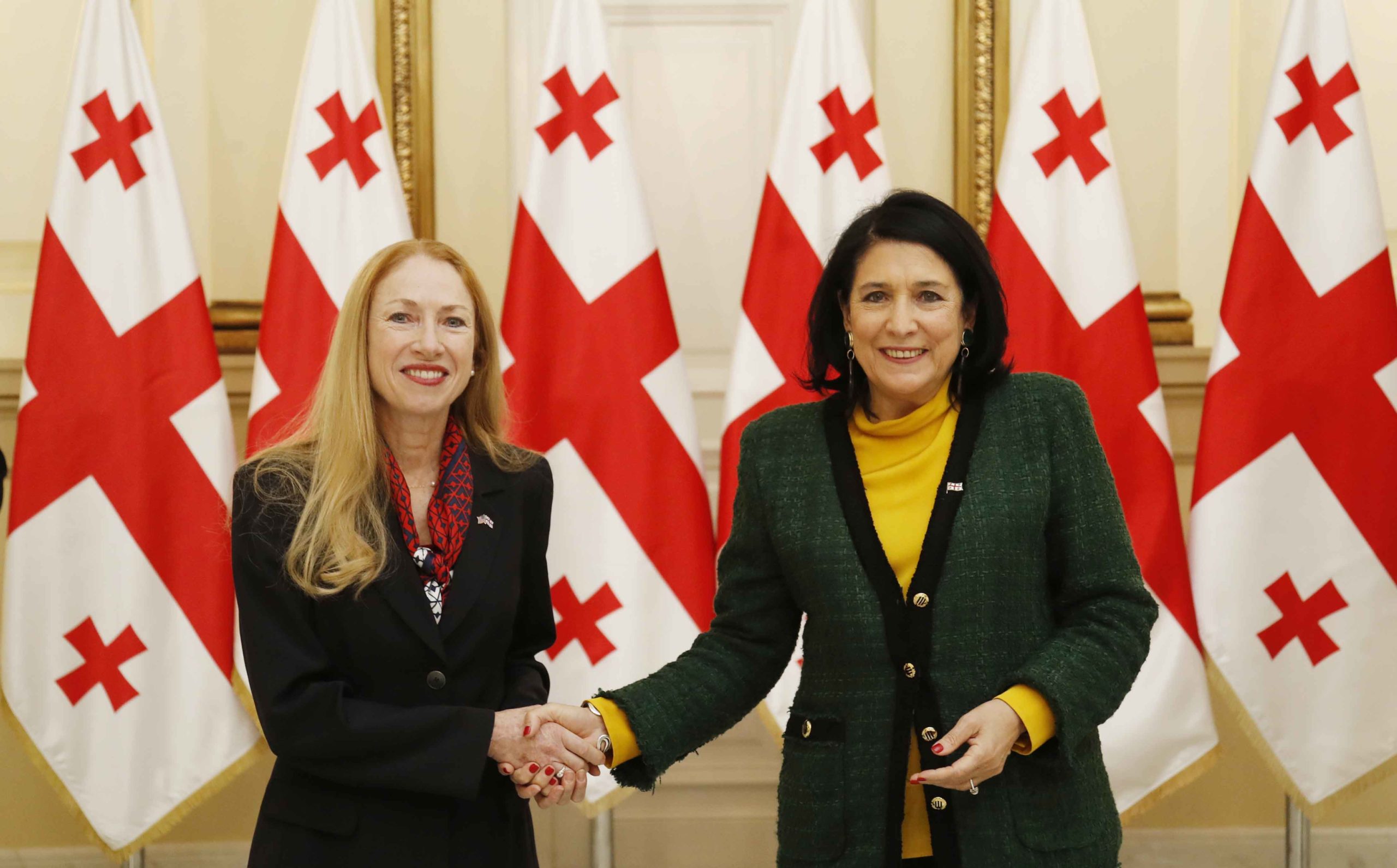 Новый посол Соединенных Штатов Америки вручила верительные грамоты президенту Грузии