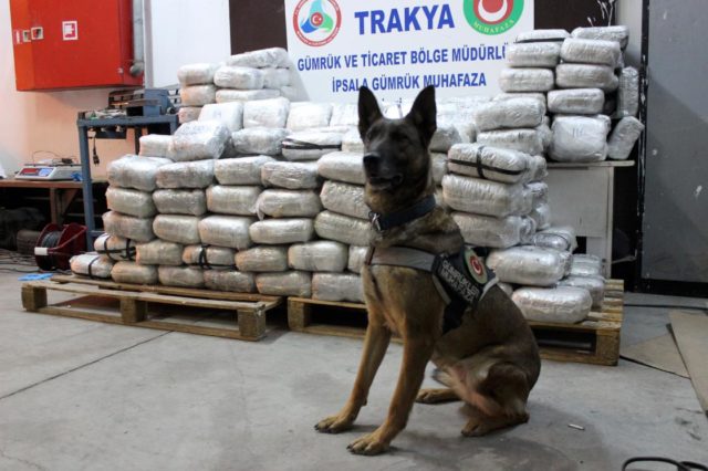 В Турции задержали трейлер, который вез в Грузию более двух тонн конопли