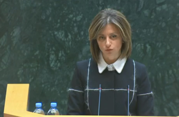 «Министерский час» в парламенте Грузии Екатерины Тикарадзе