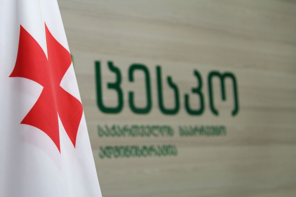 ЦИК Грузии зарегистрировала пять международных и 42 местных организаций наблюдателей