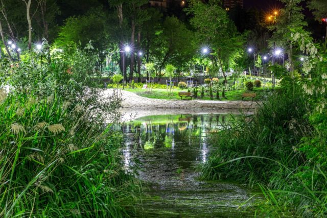 Парк "Мзиури" обретает новую жизнь