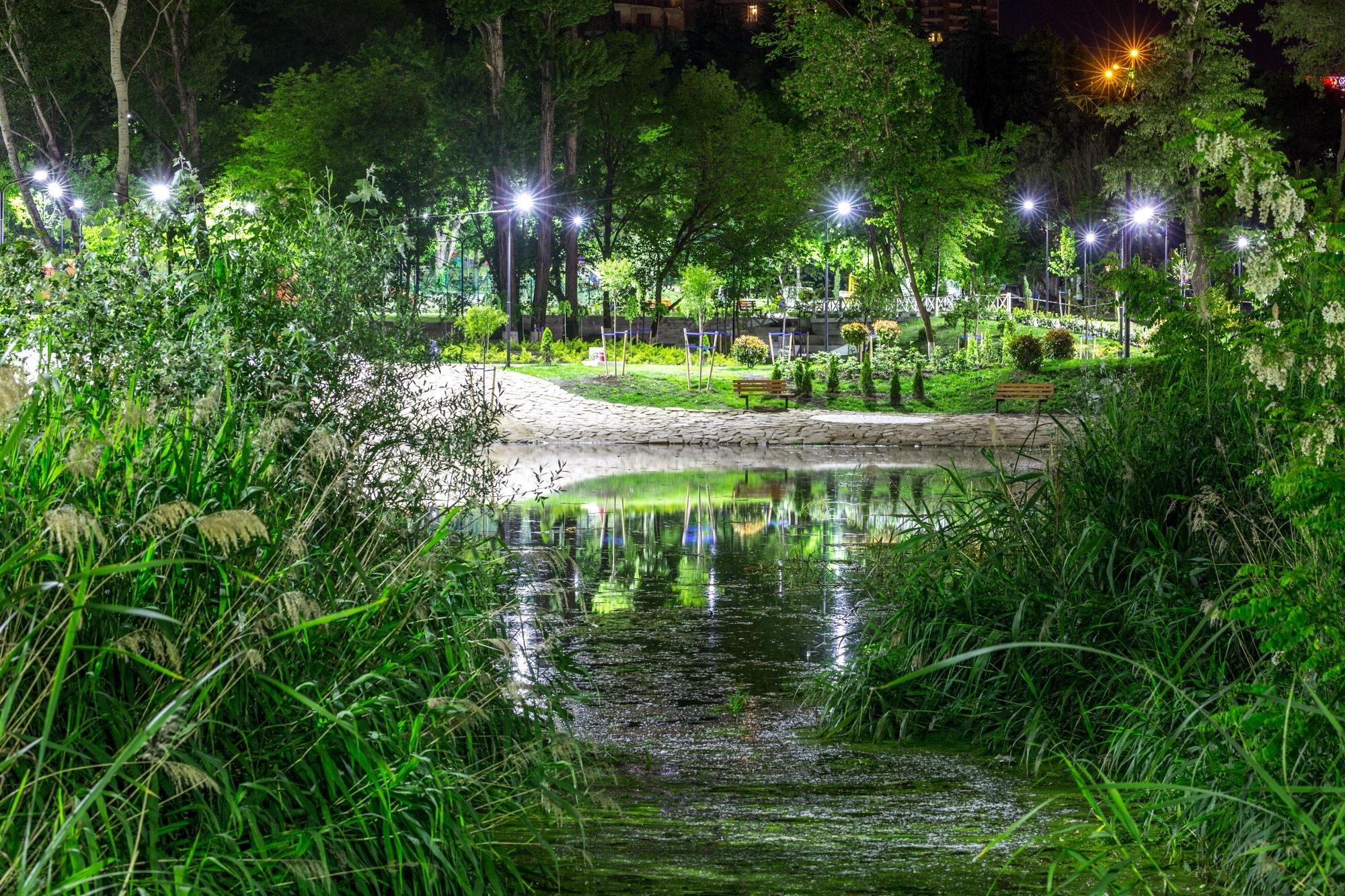 Парк "Мзиури" обретает новую жизнь