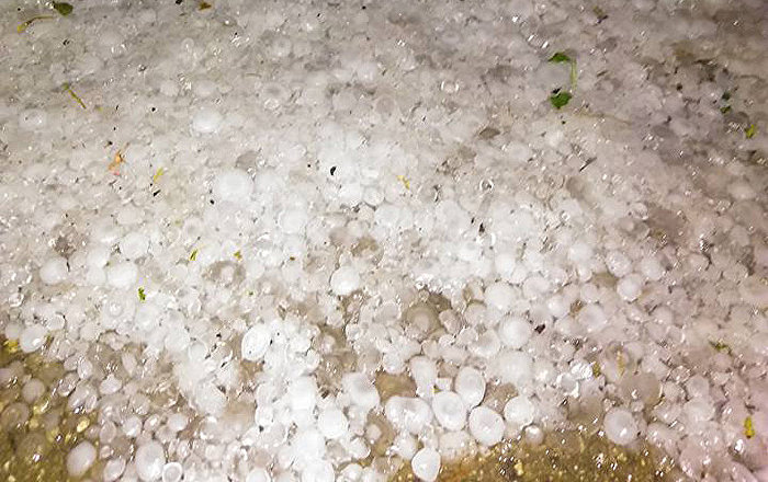 Сильный град уничтожил виноградники в Кахетии