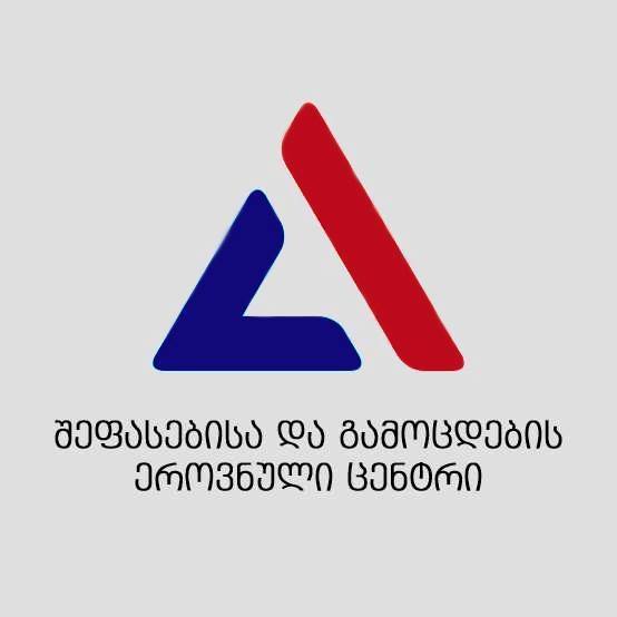 В Грузии опубликованы первые результаты Единых национальных