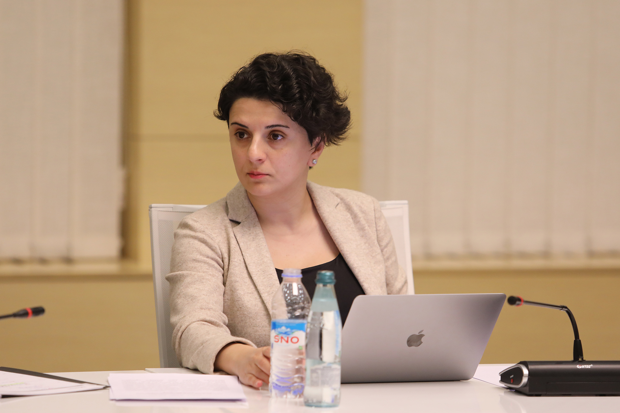 Власти Грузии допустили ослабление карантинных ограничений раньше установленного срока