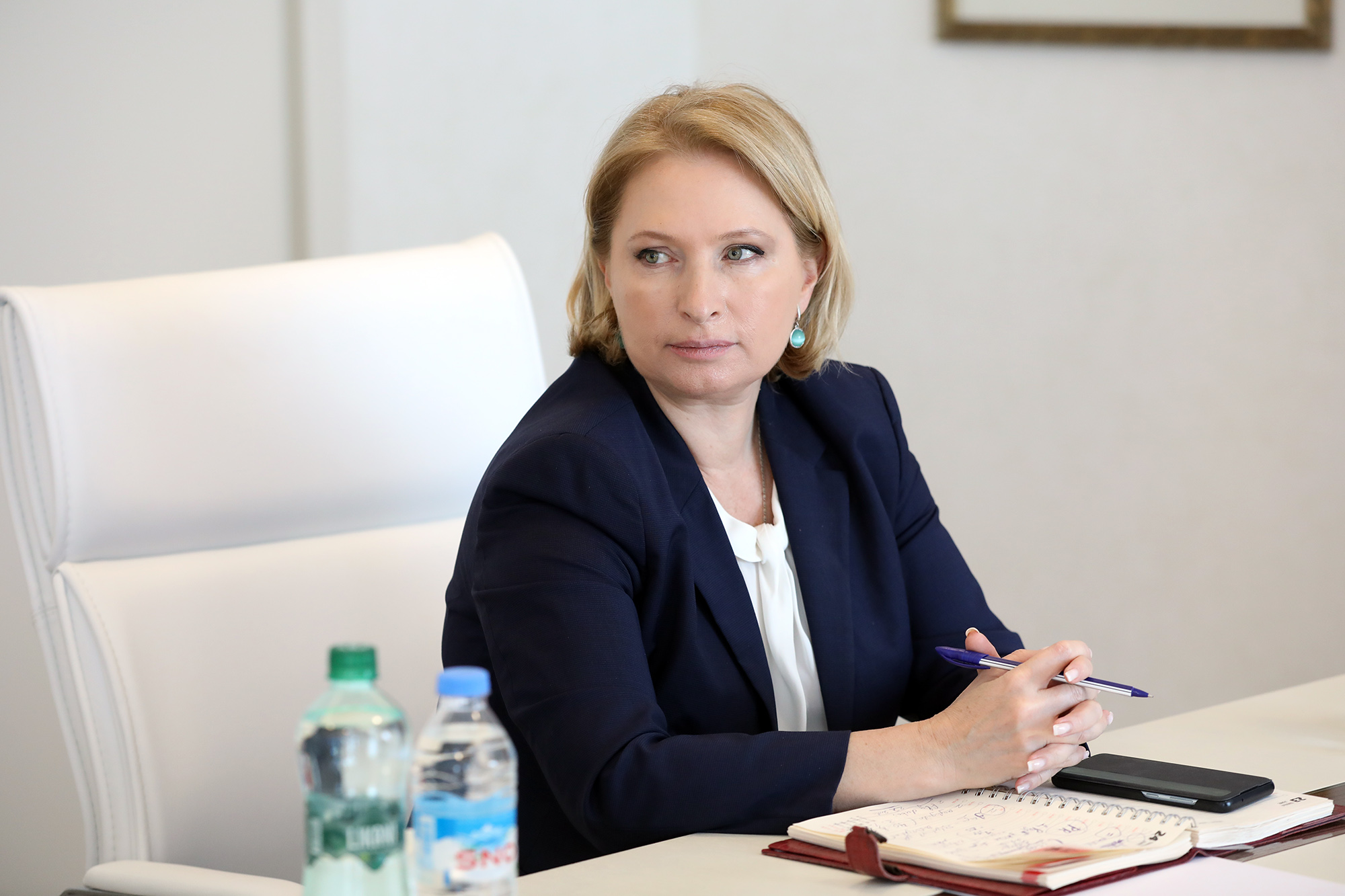 Экс-министра экономики Грузии избрали первым вице-президентом Нацбанка