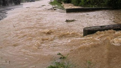 Нанесенный стихией ущерб Сачхерскому муниципалитету превышает 1 млн. лари