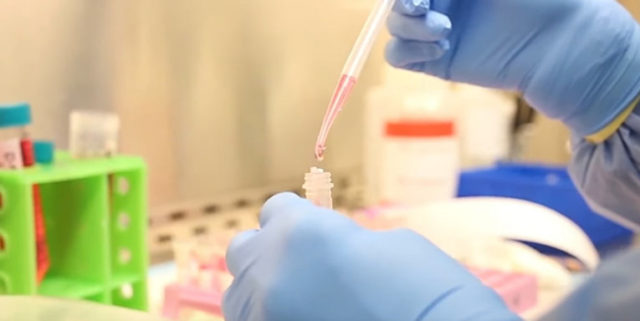 Грузия приступает к интенсивной проверке граждан на COVID-19