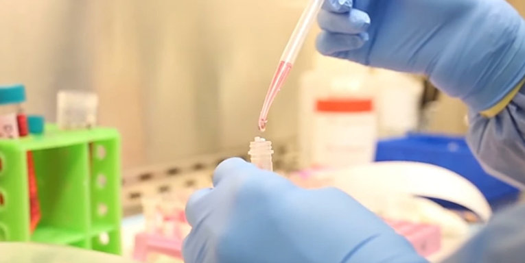 Грузия приступает к интенсивной проверке граждан на COVID-19