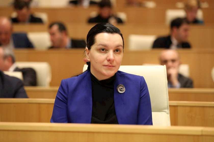 Фракция «Независимые депутаты» создала партию «Наша Грузия»