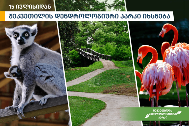 Дендрологический парк Иванишвили открывается для посетителей