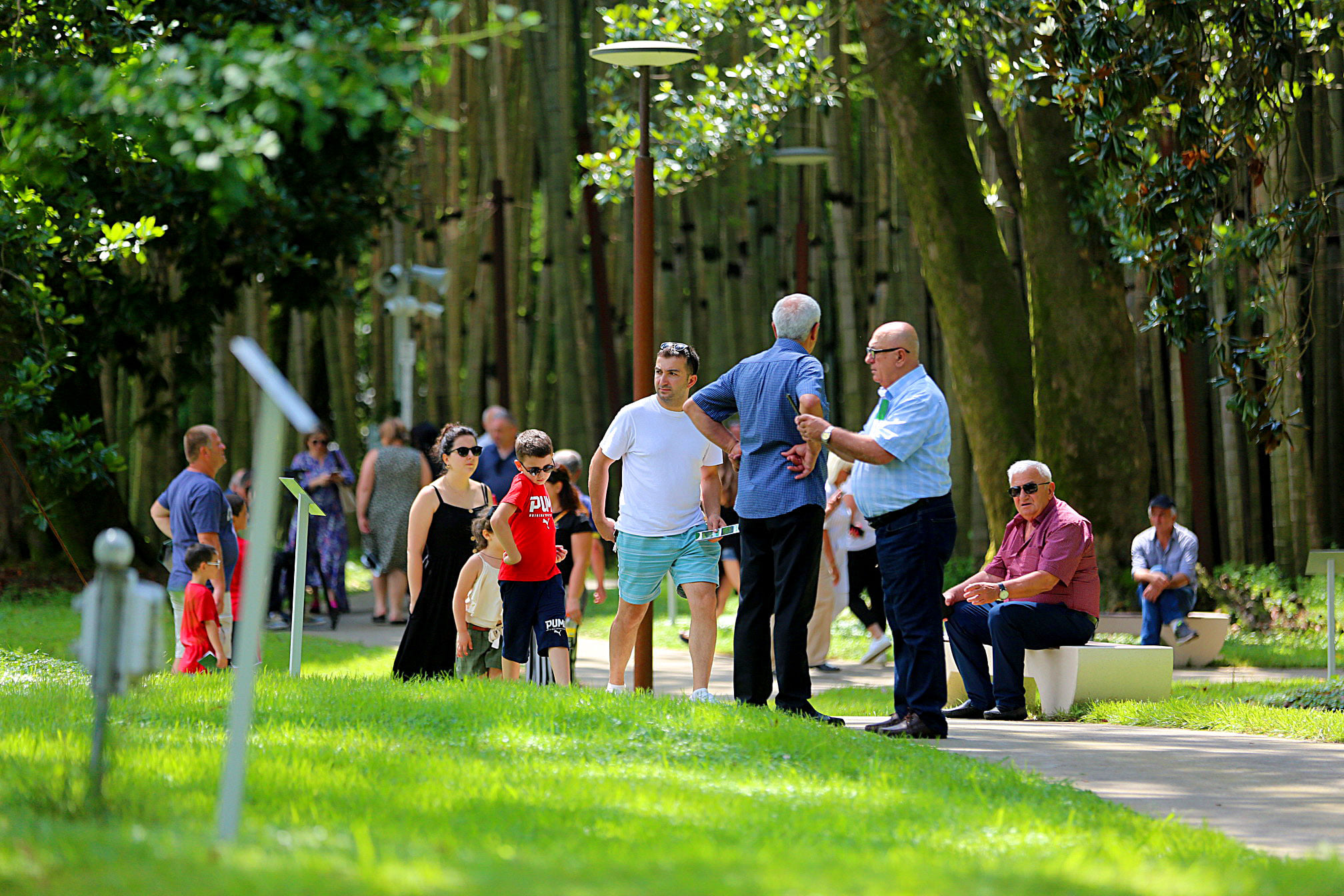 За четыре дня дендропарк Шекветили посетили более 100 тысяч человек