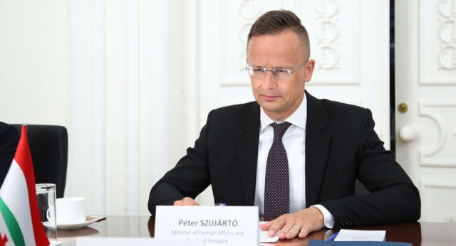 Визит министра иностранных дел Венгрии Петера Сийярто в Грузию