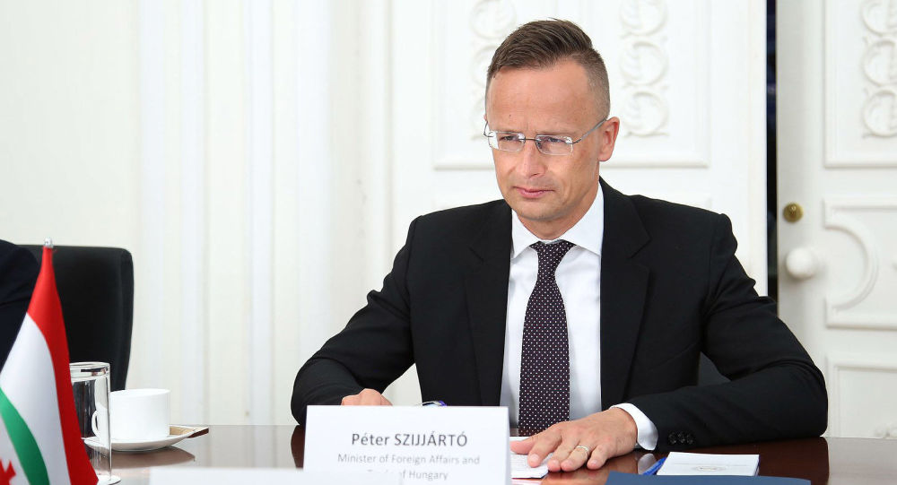 Визит министра иностранных дел Венгрии Петера Сийярто в Грузию