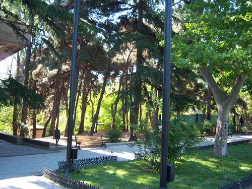 Мэрия Тбилиси планирует реставрировать сад Вере и дендрологический парк