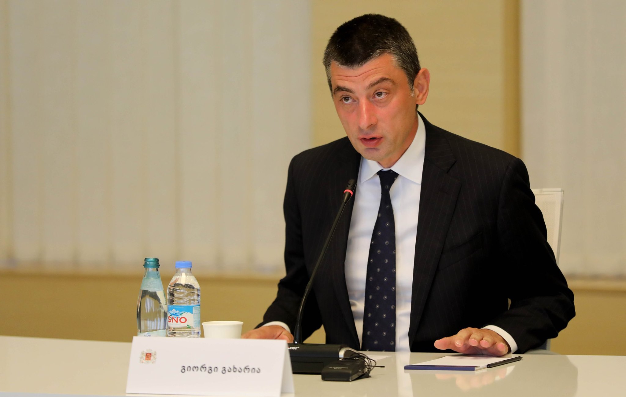 Прокуратура Грузии возбудило уголовное дело в отношении экс-премьера страны Гахария