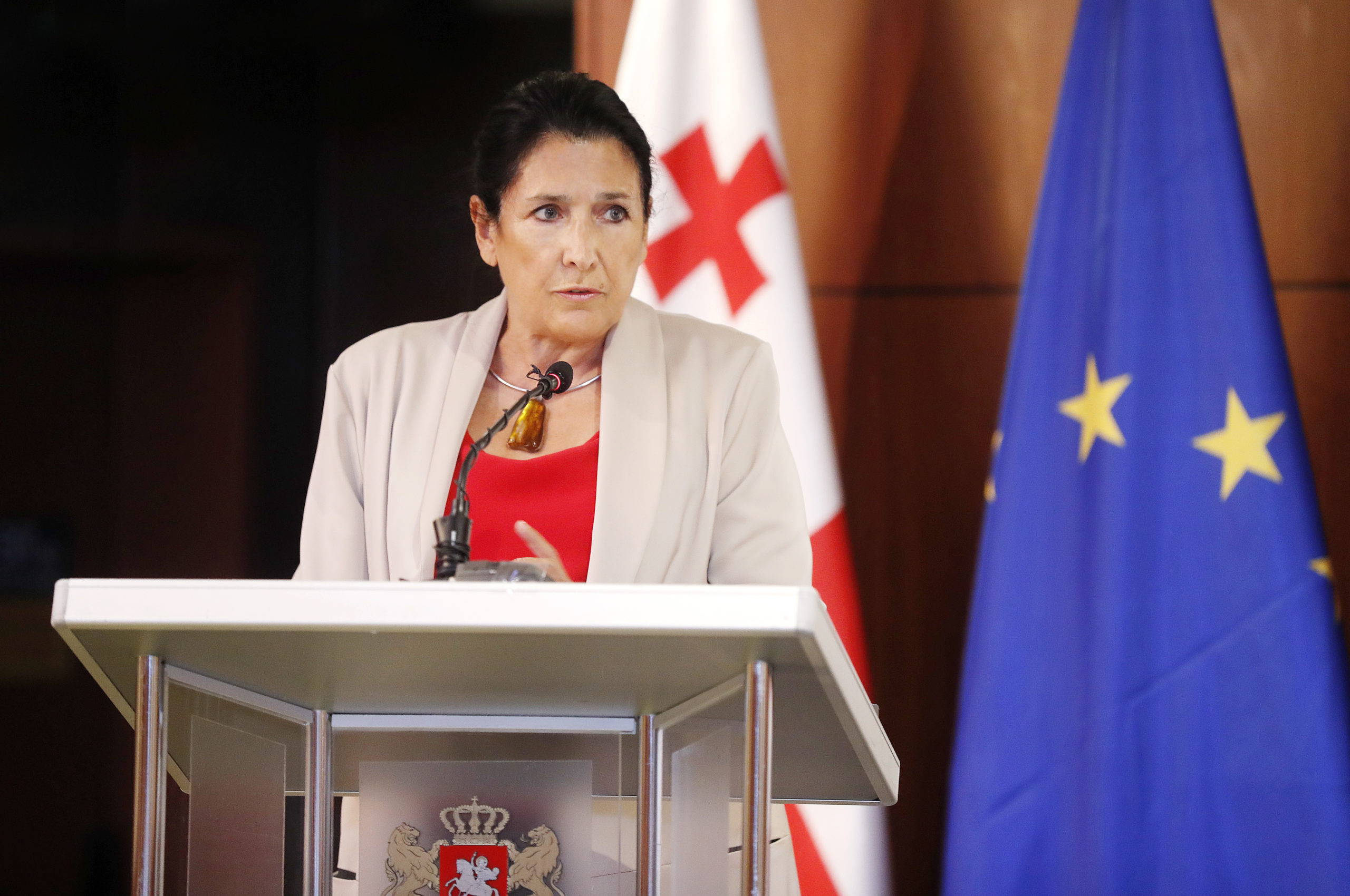 Саломе Зурабишвили предложила ввести изучение Конституции в школьную программу