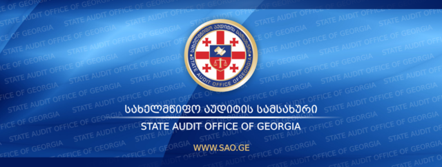 В Грузии доход политических партий за полгода превысил 12 миллионов лари